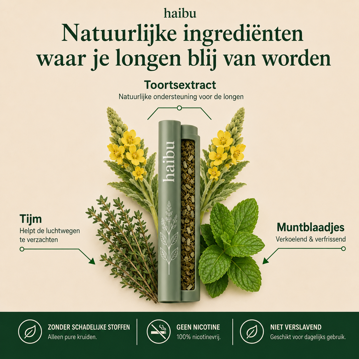 Purificateur de molène Haibu