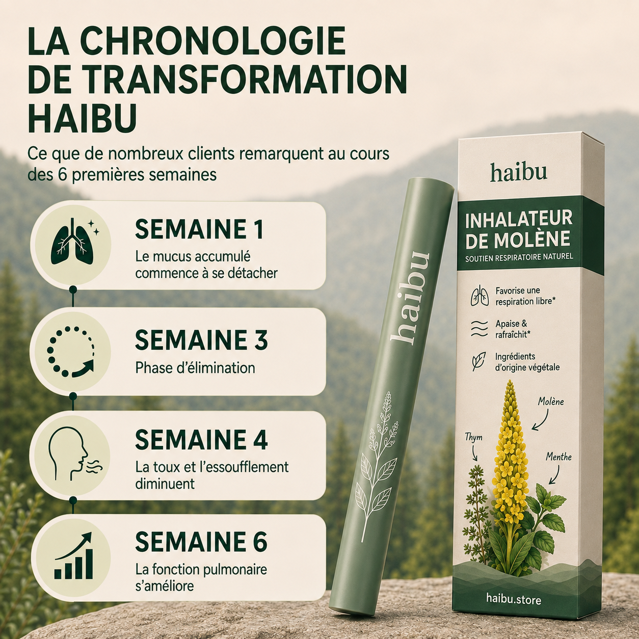 Purificateur de molène Haibu