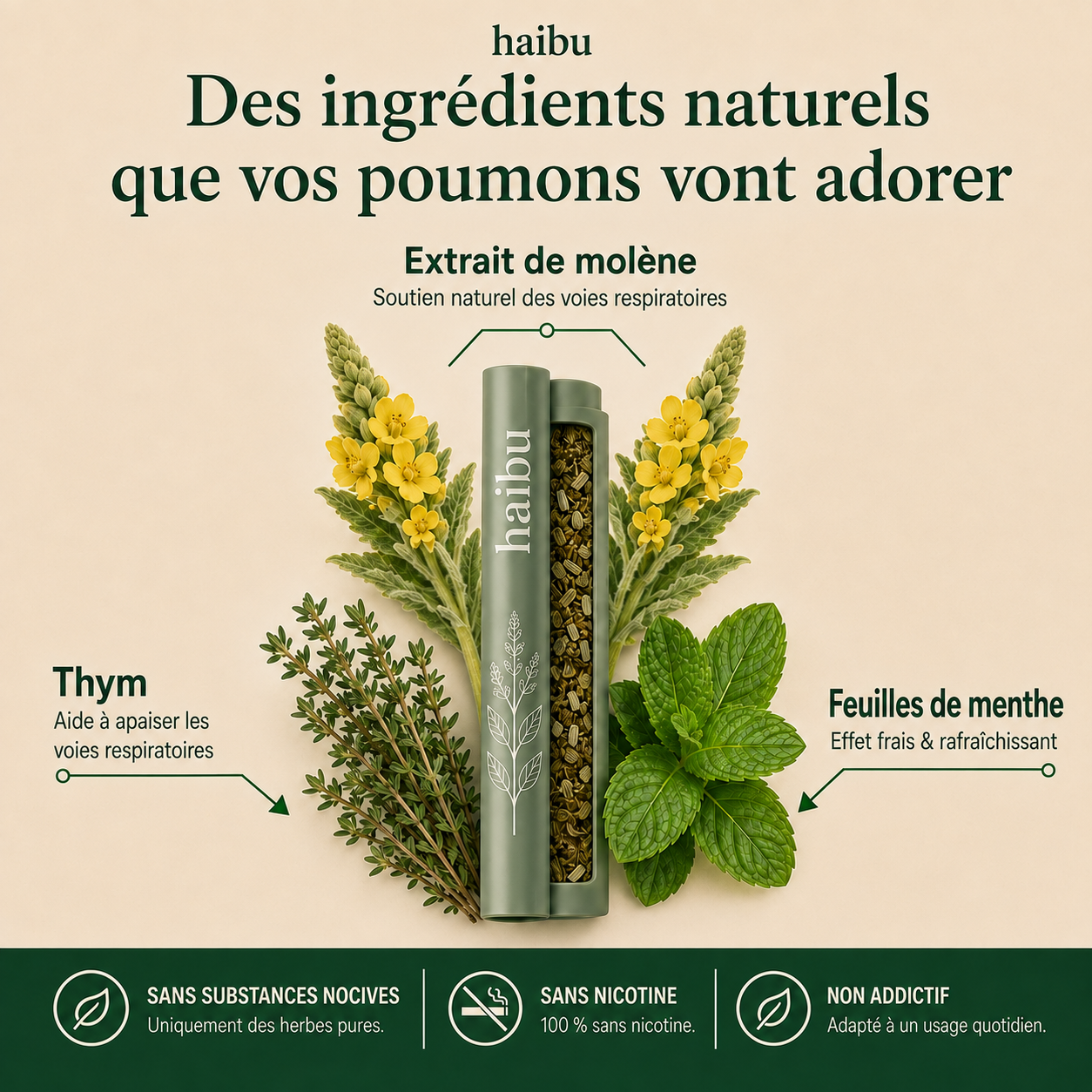 Purificateur de molène Haibu