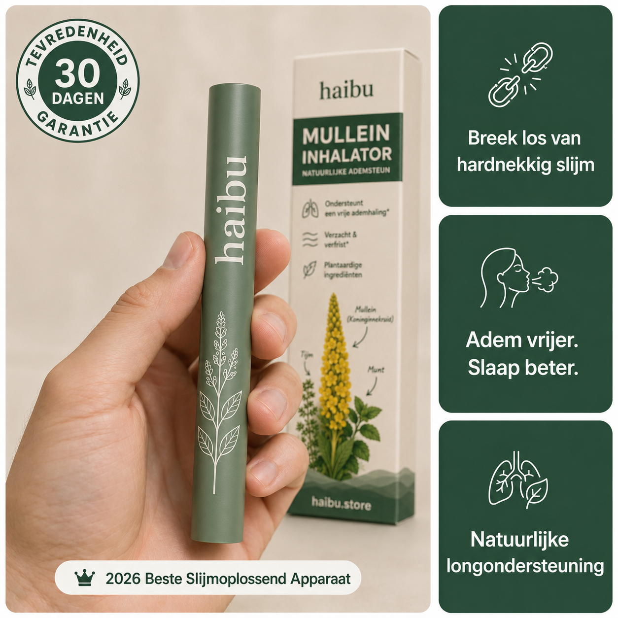 Purificateur de molène Haibu