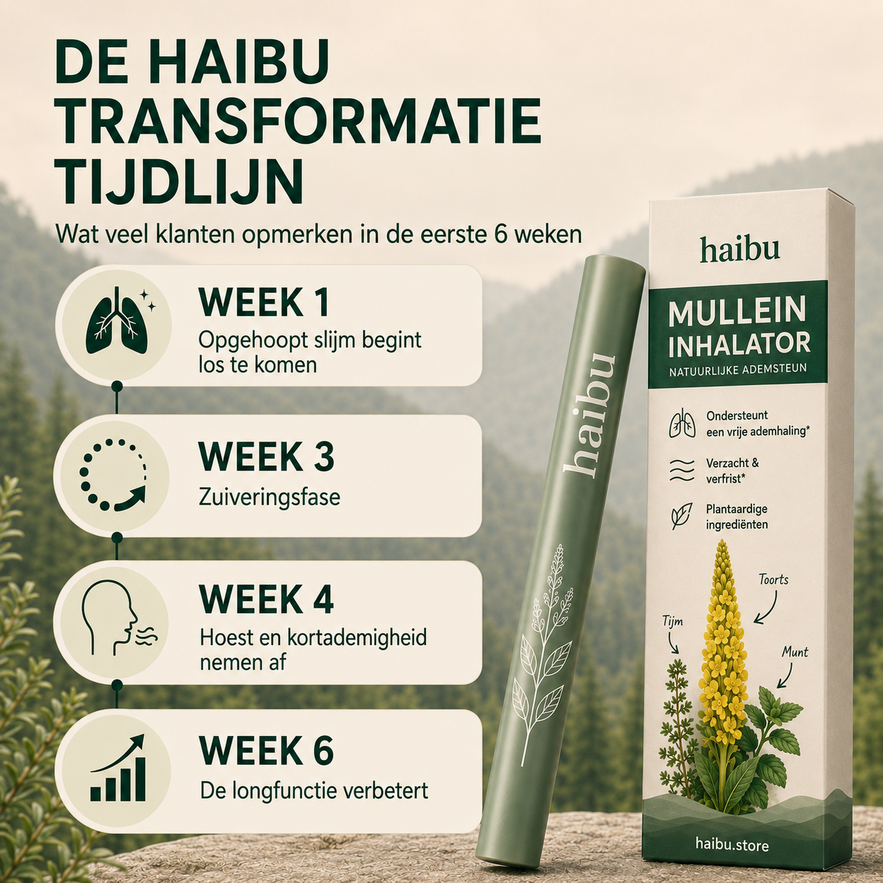 Purificateur de molène Haibu
