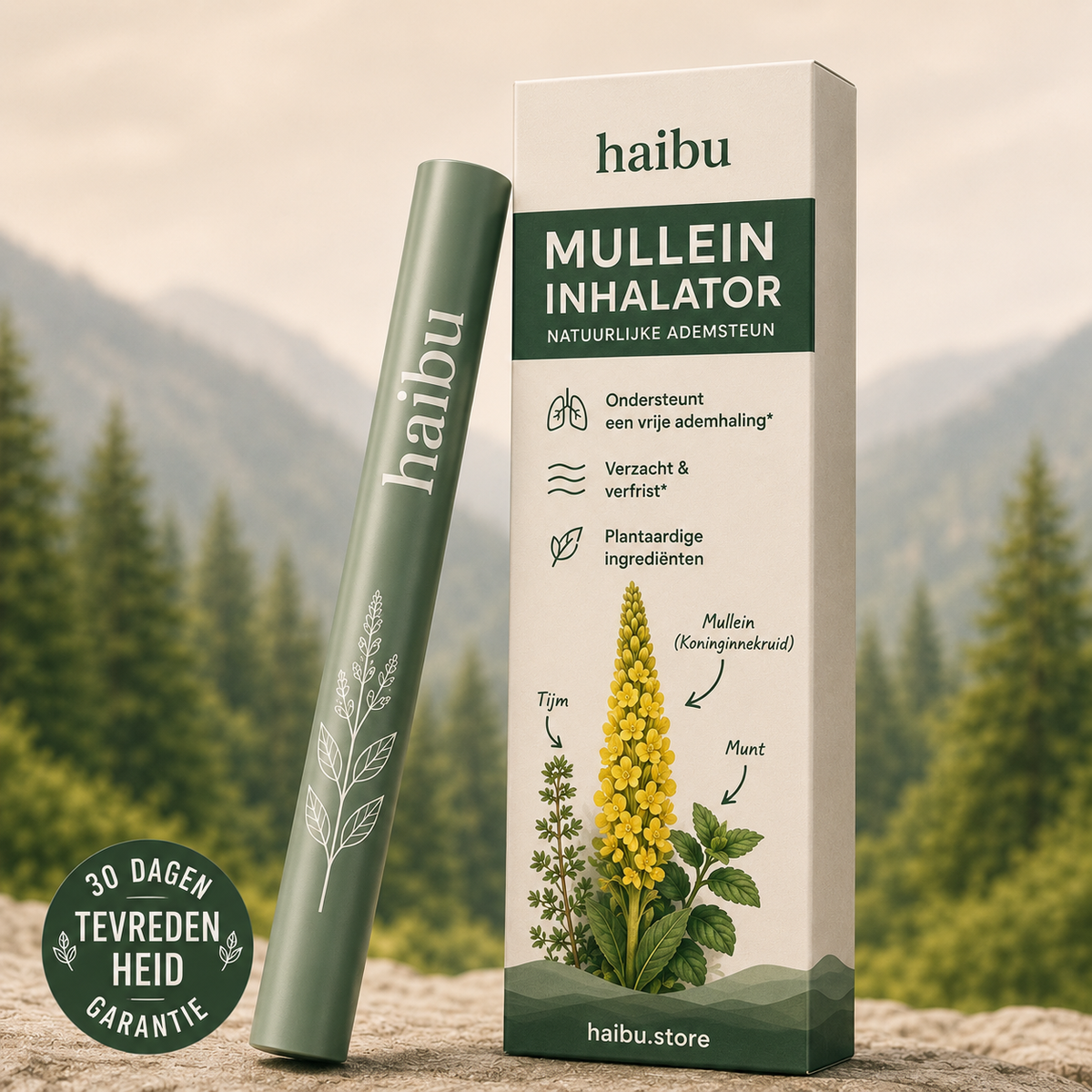 Haibu Mullein-zuiveraar
