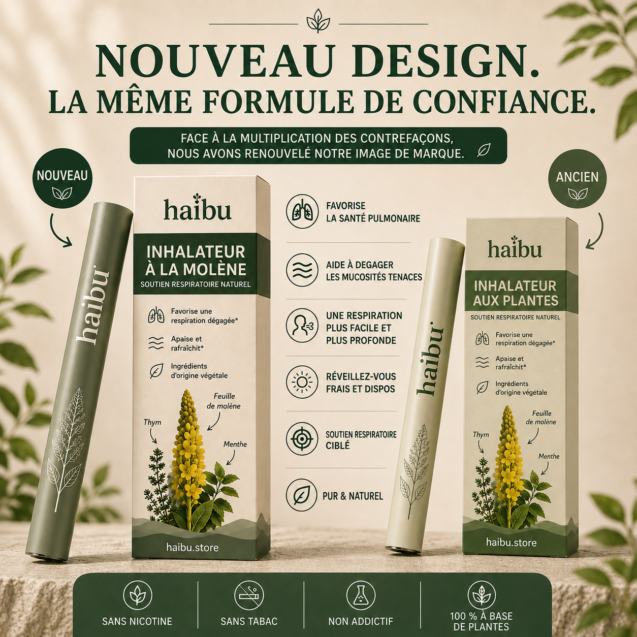 Purificateur de molène Haibu
